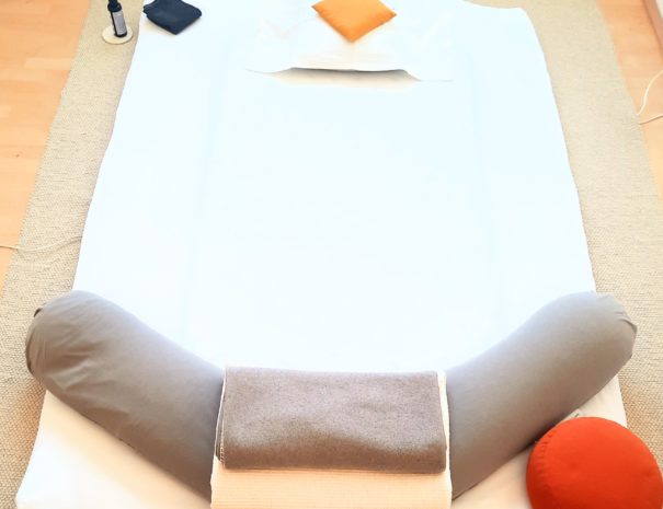 Shiatsu Stillkissen (2)